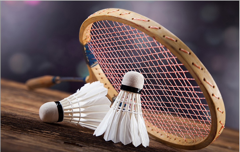 Hướng dẫn chọn vợt cầu lông cho người mới bắt đầu